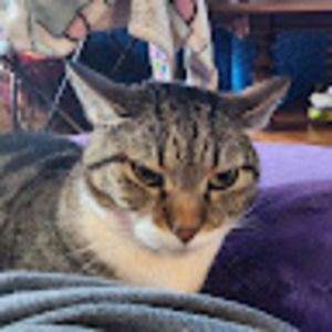 Meet your Posher, Ryleh